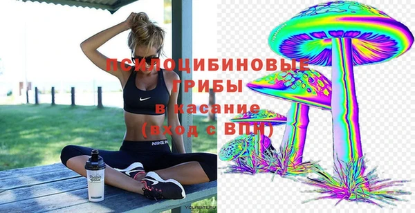 сатива Семёнов