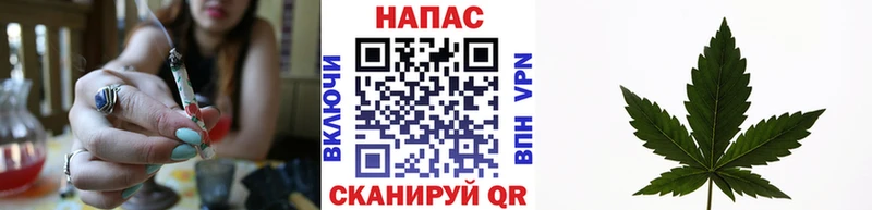 KRAKEN онион  Серафимович  Канабис Amnesia 